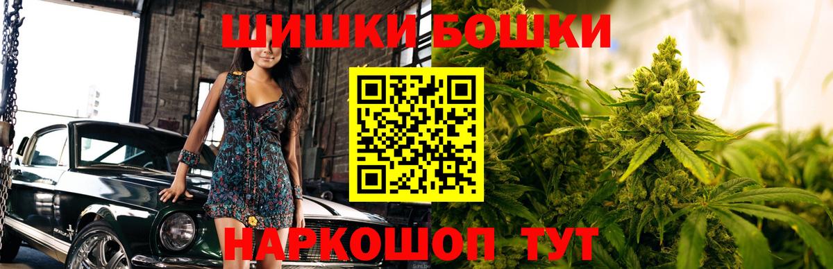 Каннабис OG Kush Кольчугино