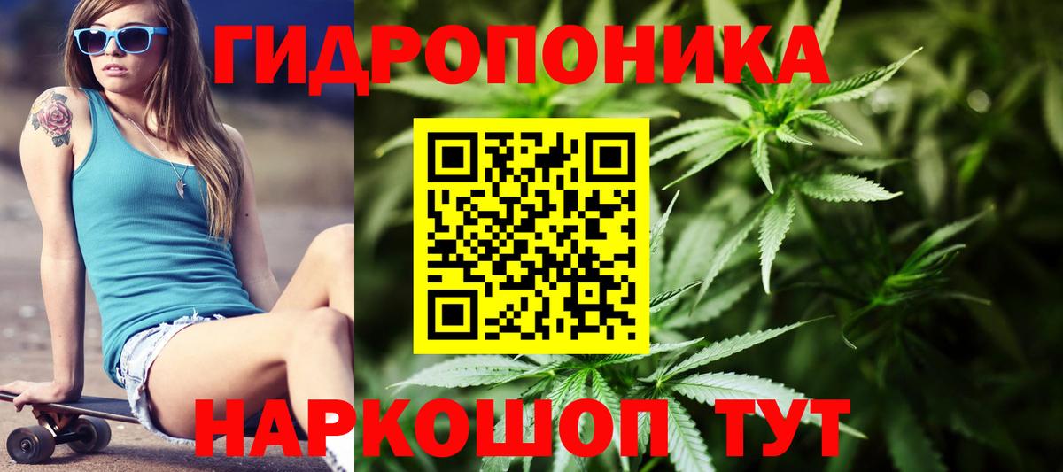 Кольчугино  Конопля план  МАРИХУАНА гибрид  Канабис тримм  Вход с VPN 
